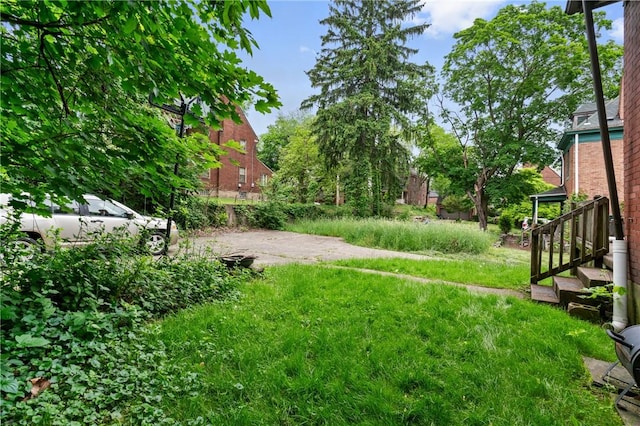 1608 Union Ave, Mckeesport, PA 15132 - view of yard