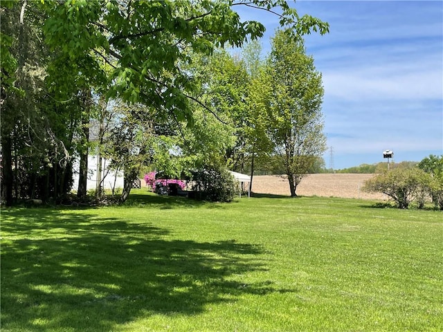 view of green lawn