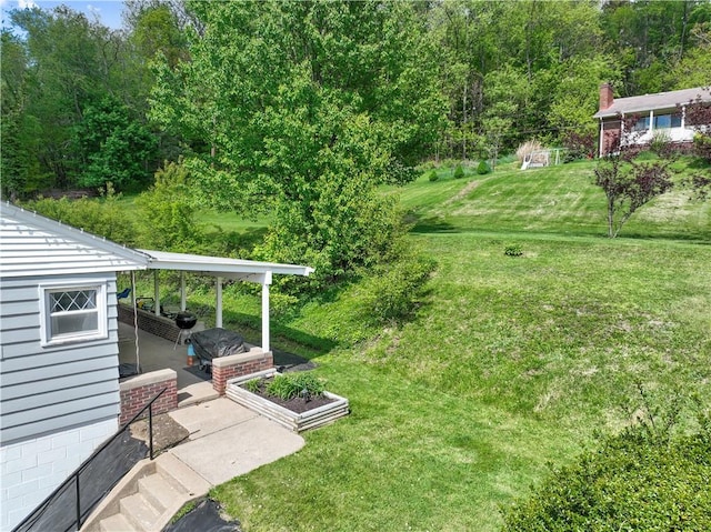 view of grassy yard