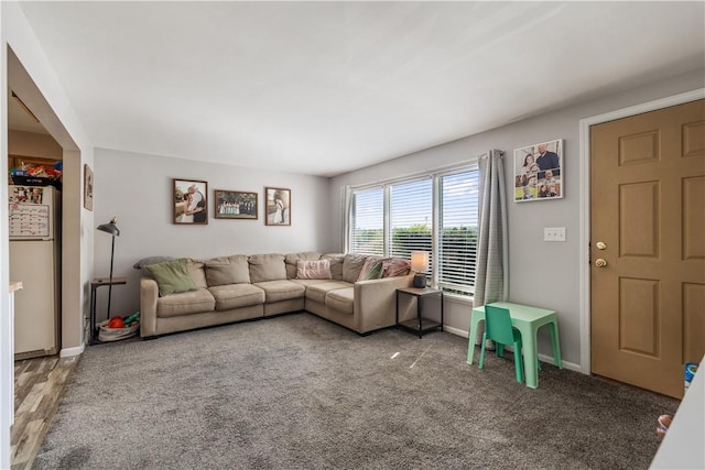 living room with baseboards and carpet floors