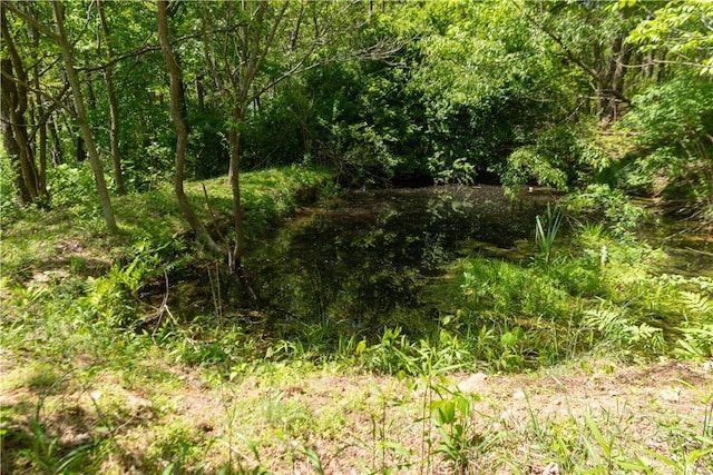 1207 Luciusboro Rd, Blairsville Area, PA 15717 - view of local wilderness
