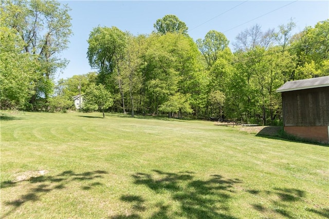 1207 Luciusboro Rd, Blairsville Area, PA 15717 - view of green lawn