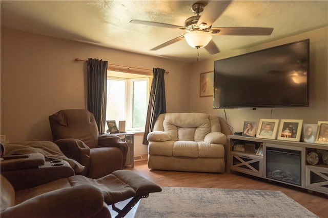 1207 Luciusboro Rd, Blairsville Area, PA 15717 - living area with wood finished floors and ceiling fan