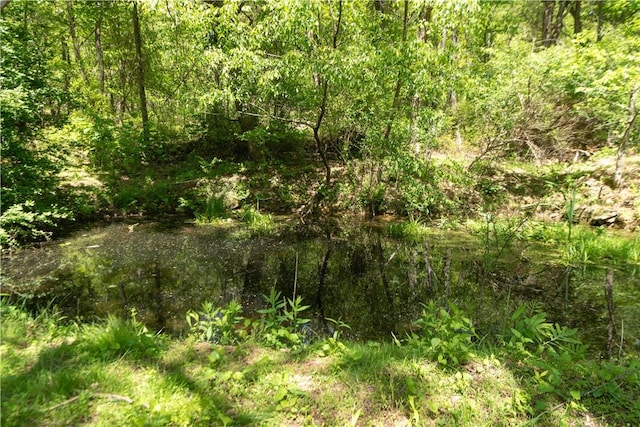 1207 Luciusboro Rd, Blairsville Area, PA 15717 - view of local wilderness