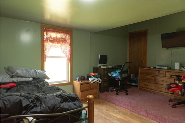 1207 Luciusboro Rd, Blairsville Area, PA 15717 - bedroom with light wood-style floors