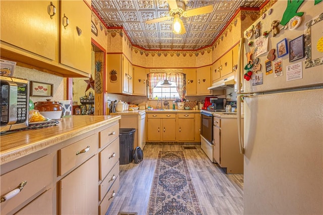 135 Oak Forest Rd, New Freeport, PA 15316 - kitchen with white appliances, ceiling fan, an ornate ceiling, light countertops, and under cabinet range hood