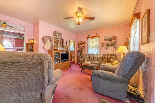 135 Oak Forest Rd, New Freeport, PA 15316 - carpeted living room with ceiling fan and crown molding