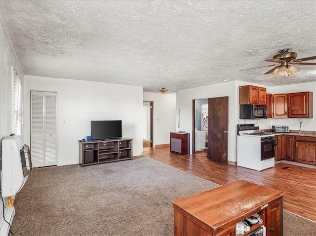 carpeted living room with a ceiling fan, heating unit, wood finished floors, and a textured ceiling