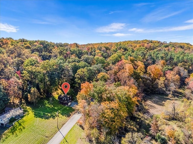 drone / aerial view of a forest