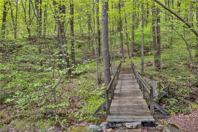 2847 National Pike, Wharton Twp, PA 15421 - view of property's community featuring a wooded view