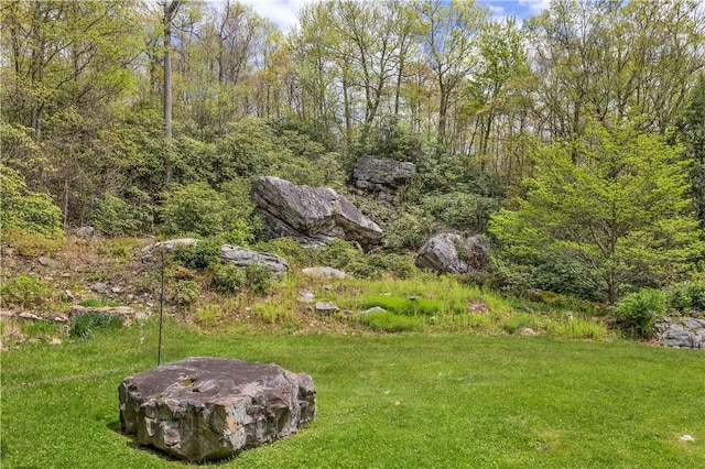 2847 National Pike, Wharton Twp, PA 15421 - view of grassy yard