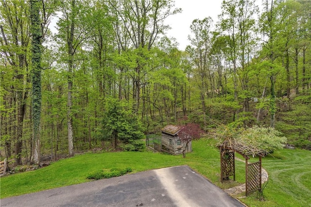 2847 National Pike, Wharton Twp, PA 15421 - view of green lawn featuring a view of trees