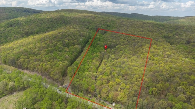 2847 National Pike, Wharton Twp, PA 15421 - aerial view of property and surrounding area featuring a heavily wooded area, property parcel outlined, and a mountain backdrop