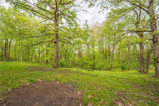 297 Alamae Lakes Rd, South Franklin, PA 15301 - view of yard with a view of trees