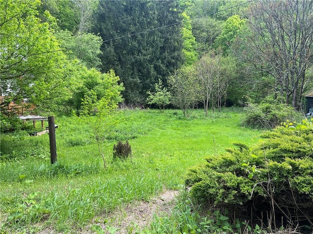 131 Palmer Rd, German Twp, PA 15410 - view of yard with a forest view