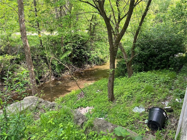 131 Palmer Rd, German Twp, PA 15410 - view of wooded area