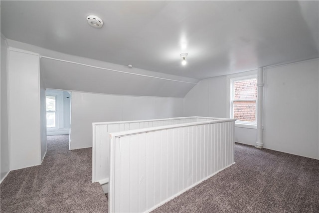 59 Greenbush St, Mt Washington, PA 15211 - additional living space featuring carpet flooring and vaulted ceiling
