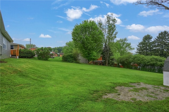 view of green lawn