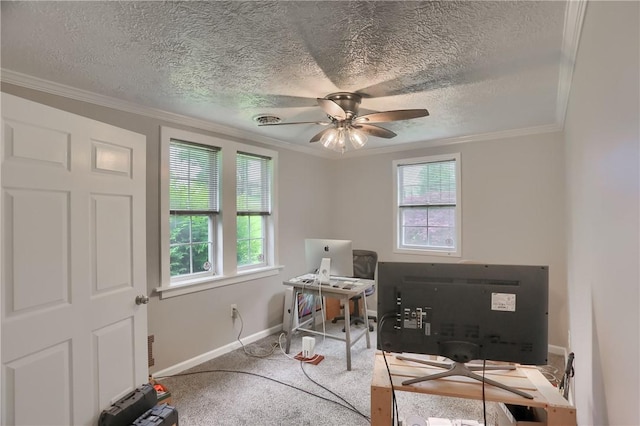 carpeted office space with plenty of natural light, ceiling fan, crown molding, baseboards, and a textured ceiling