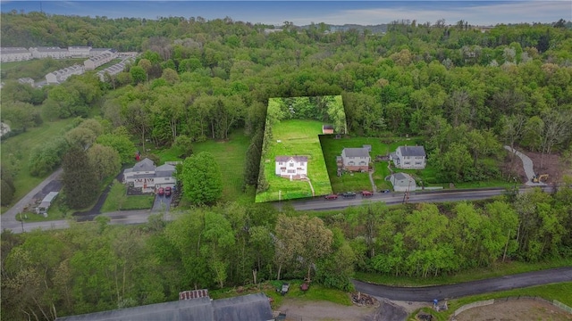 drone / aerial view of a heavily wooded area