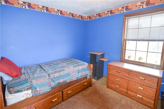 105 Audrey Ln, Jefferson Twp But, PA 16023 - carpeted bedroom with baseboards