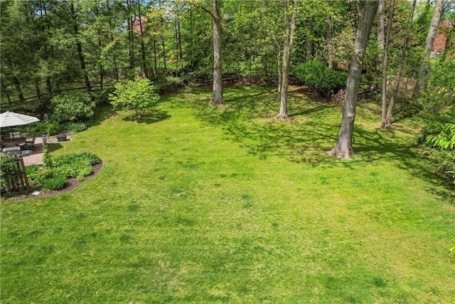 view of green lawn with a patio