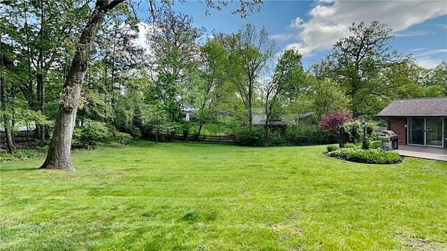 view of green lawn