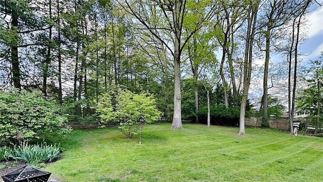 view of grassy yard