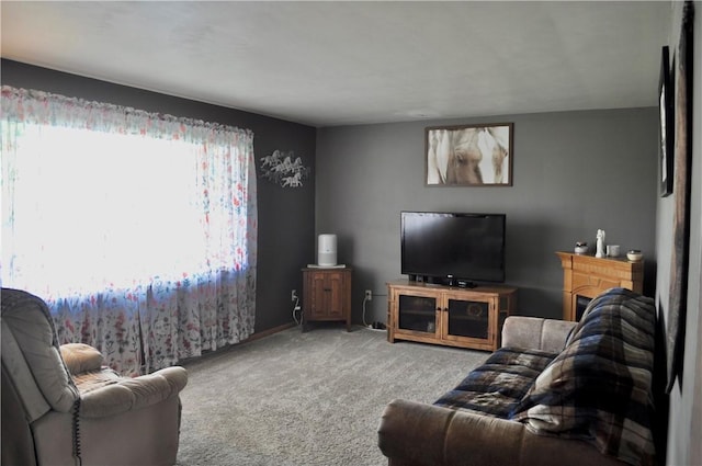 3344 Orangeville Rd, South Pymatuning Twp, PA 16150 - living area featuring carpet flooring and baseboards