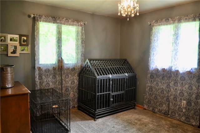 3344 Orangeville Rd, South Pymatuning Twp, PA 16150 - detailed view of carpet flooring and a chandelier