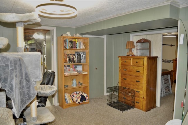 3344 Orangeville Rd, South Pymatuning Twp, PA 16150 - living area with carpet and ornamental molding