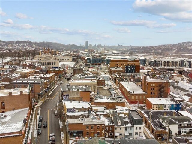 185 42nd St, Lawrenceville, PA 15201 - city view