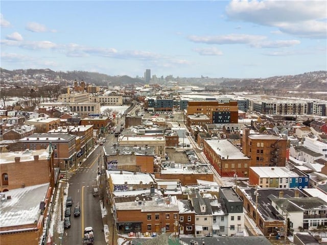 1851/2 42nd St, Lawrenceville, PA 15201 - city view