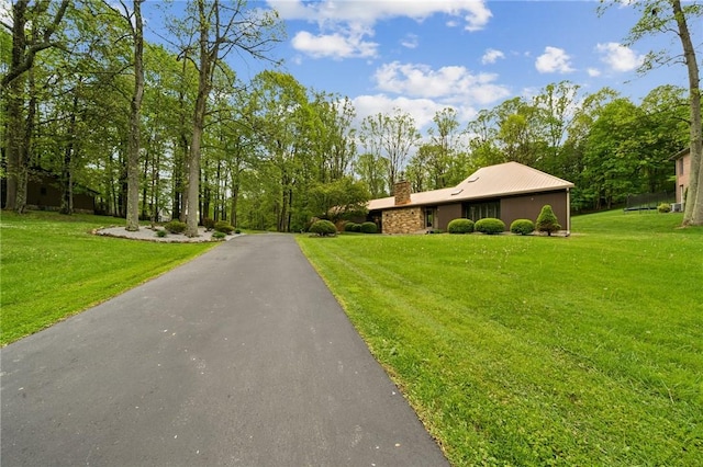 view of asphalt driveway with view of wooded area
