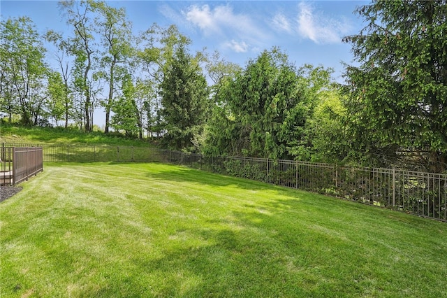 104 Ross Creek Ln, Peters Twp, PA 15367 - view of yard
