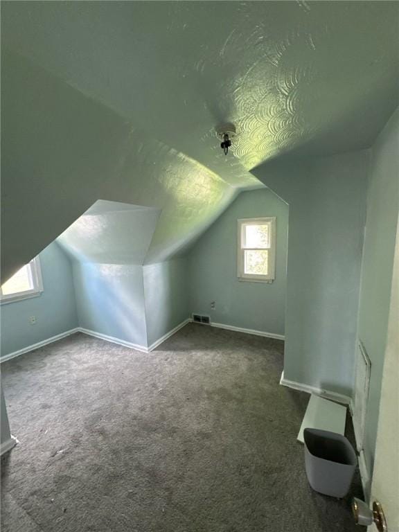 additional living space with lofted ceiling, carpet flooring, baseboards, and a textured ceiling