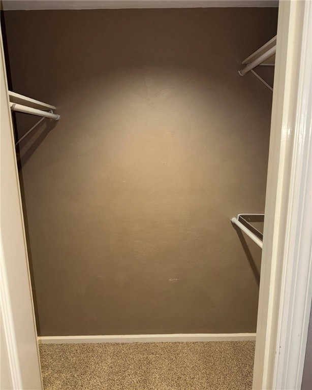 spacious closet with carpet floors