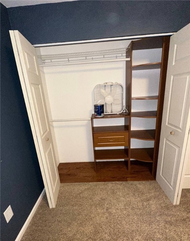 view of closet