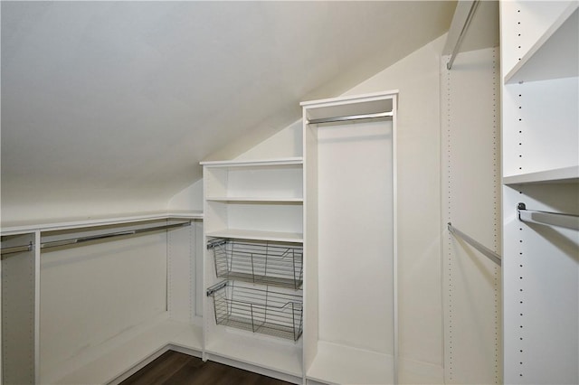 18 W Manilla Ave, Green Tree, PA 15220 - walk in closet featuring lofted ceiling and dark wood-style floors