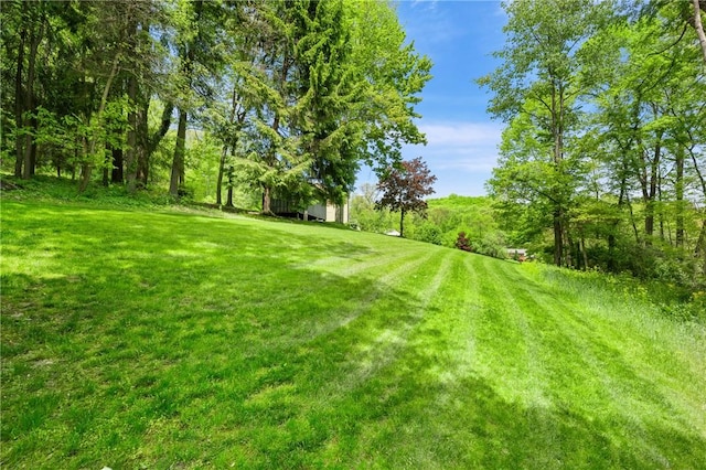 120 Rolling Mills Dr, Middlesex Twp, PA 16059 - view of green lawn