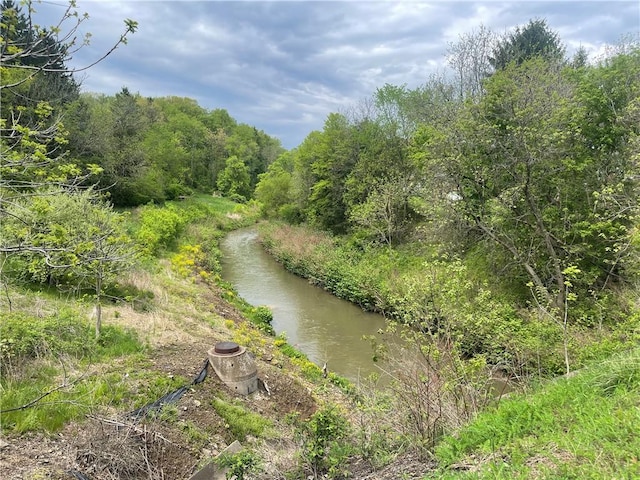view of undeveloped land