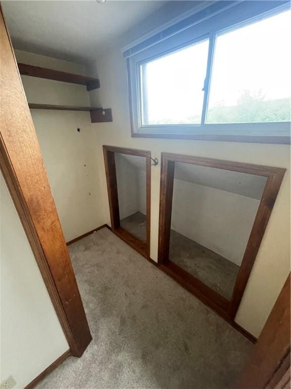 bonus room with carpet