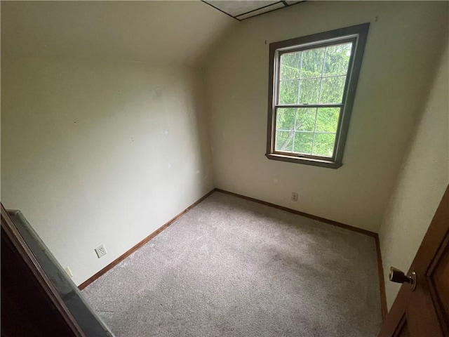 additional living space featuring carpet flooring, baseboards, and vaulted ceiling