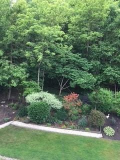 707 Cherry Blossom Ct, Murrysville, PA 15626 - view of green lawn with a wooded view