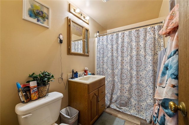 2841 Mary St, South Side, PA 15203 - bathroom with wood finished floors, toilet, a shower with shower curtain, and vanity