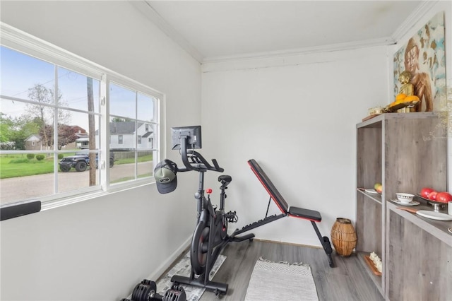 workout room featuring wood finished floors and crown molding