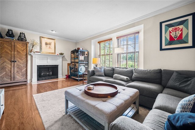living room with wood finished floors, crown molding, and a fireplace