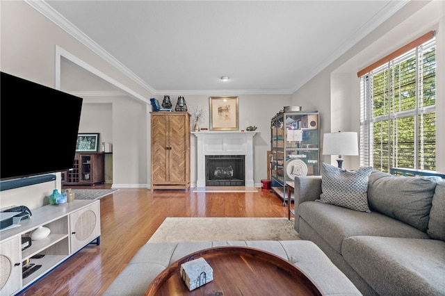 living area with wood finished floors, crown molding, a fireplace, and baseboards