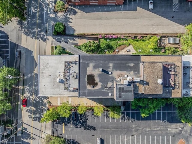 drone / aerial view