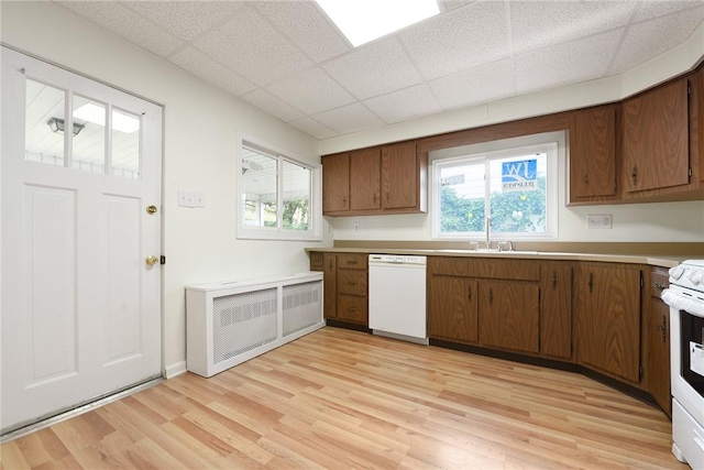 kitchen with white appliances, a sink, light wood-style flooring, healthy amount of natural light, and a paneled ceiling